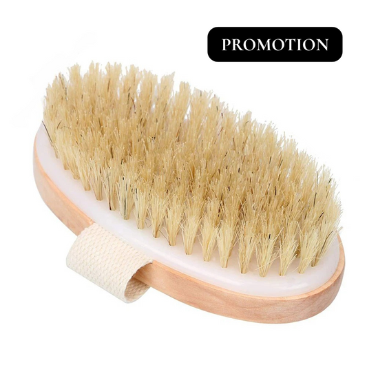 L'aspect général de la Brosse Corps Numaa 